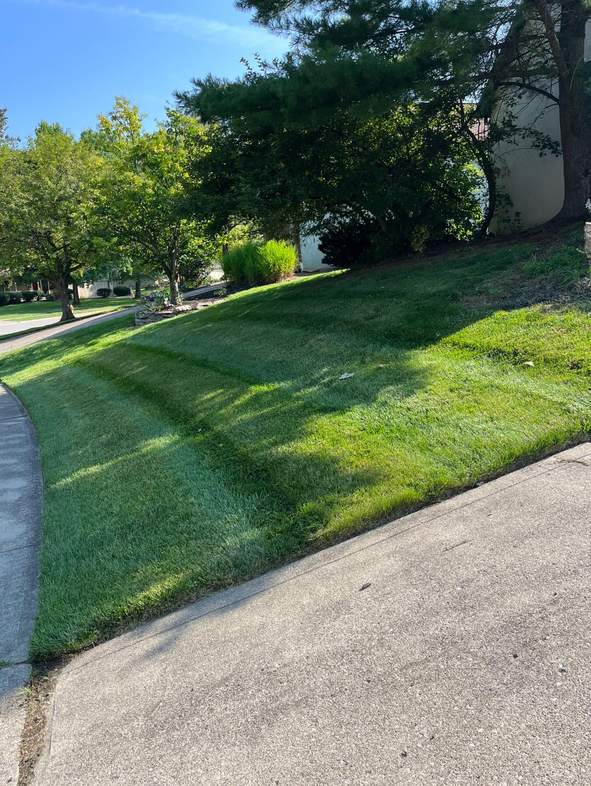 Beautiful Edmonton lawn