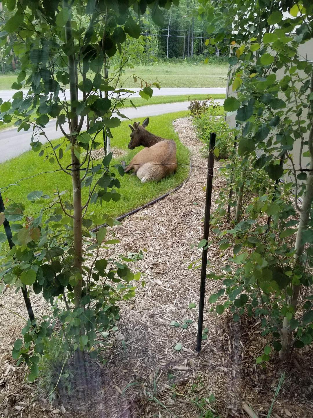 Interlocking paver installation